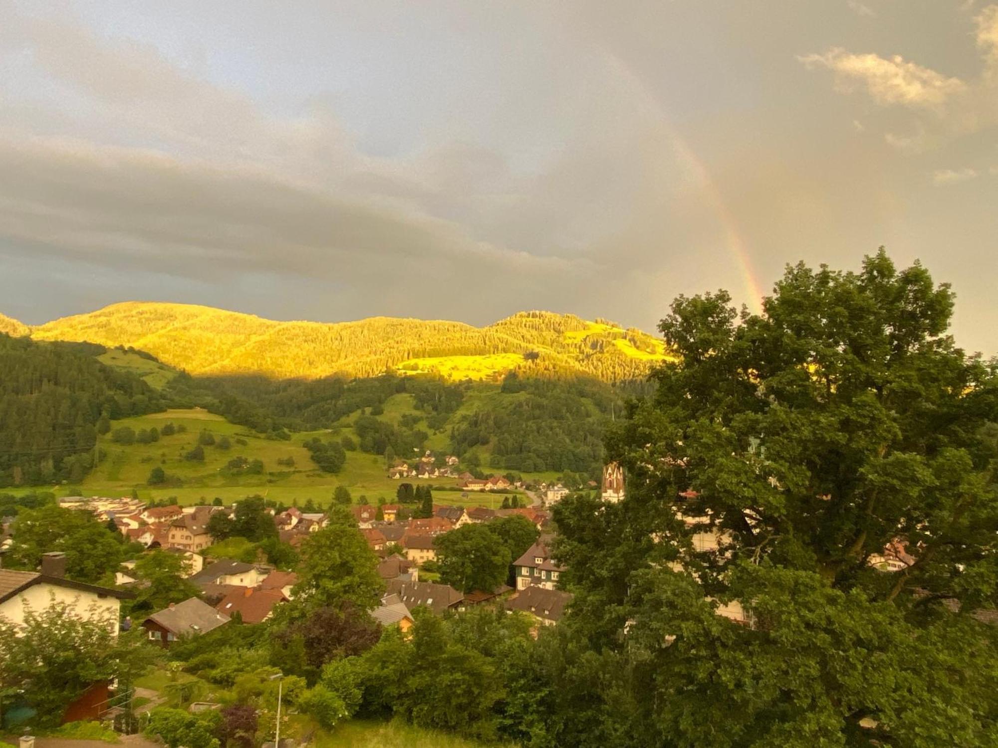Ferienwohnung Schoenblick Schönau im Schwarzwald Exterior foto
