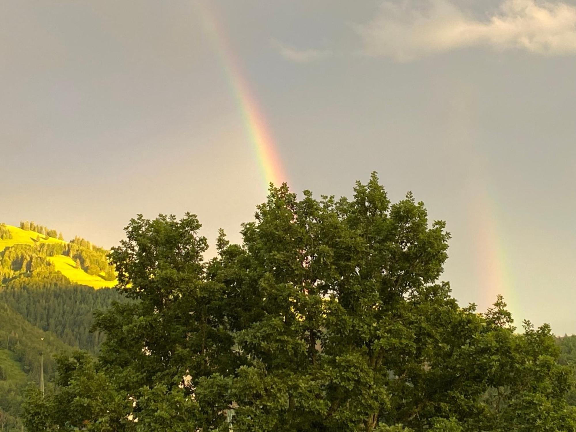 Ferienwohnung Schoenblick Schönau im Schwarzwald Exterior foto